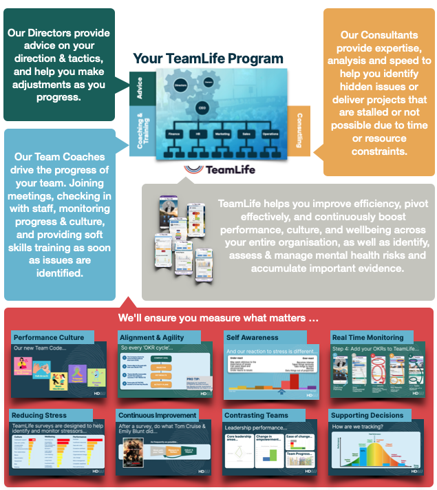 Diagram of TeamLife Program and services within it